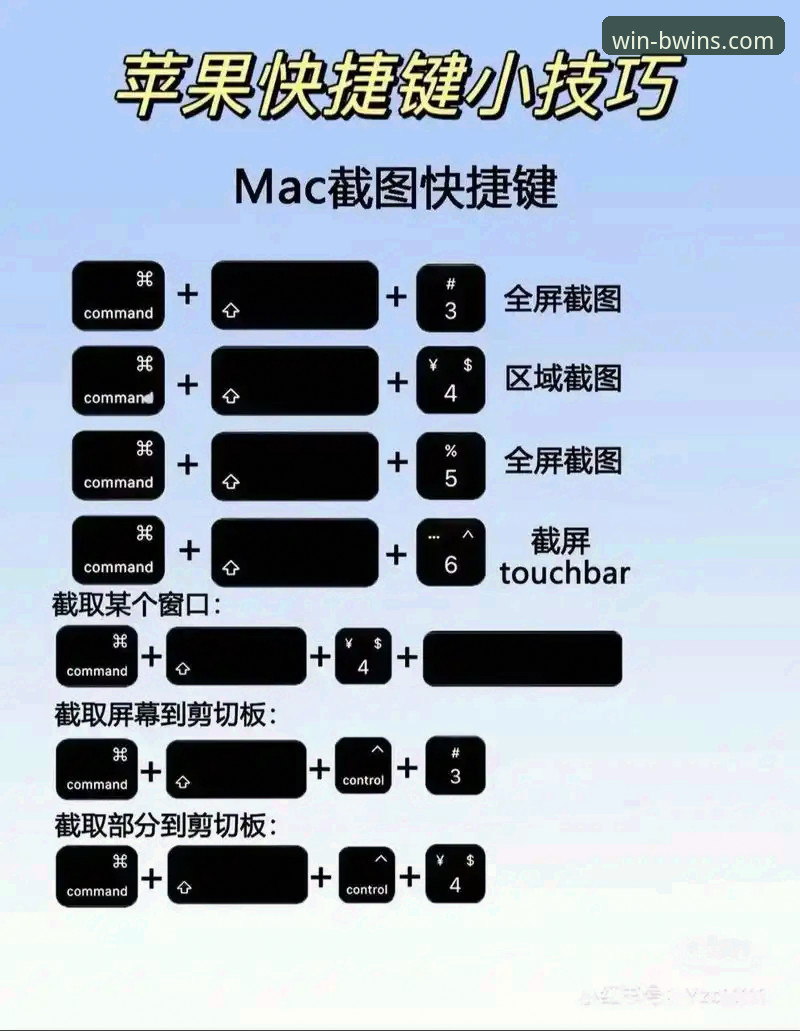 BWIN苹果版使用教程：从安装到下注的完整指南